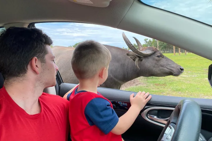 a man sitting in a car