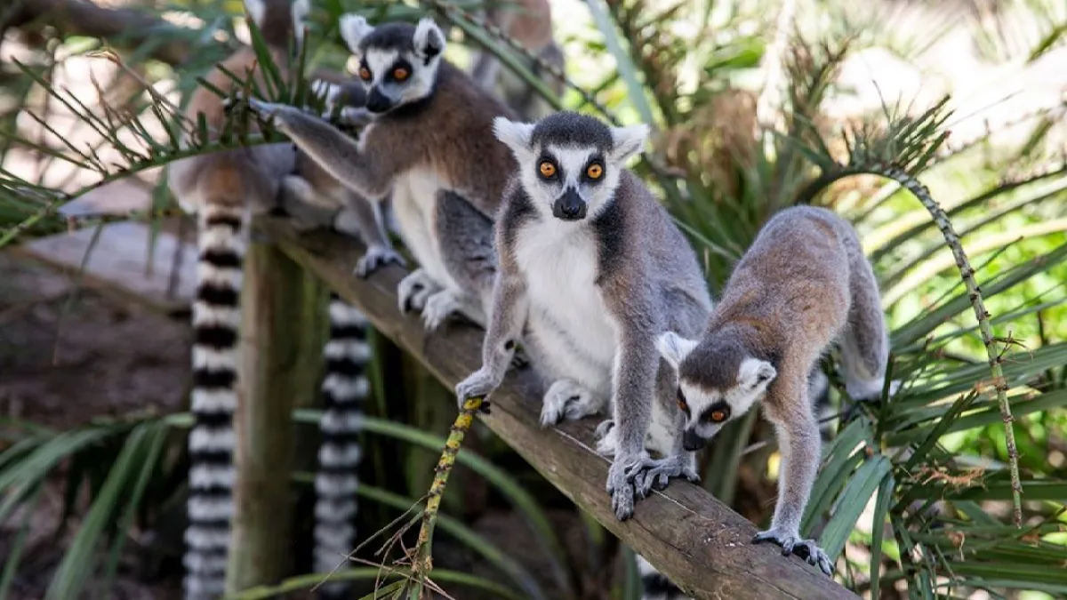 a small bird perched on a tree branch