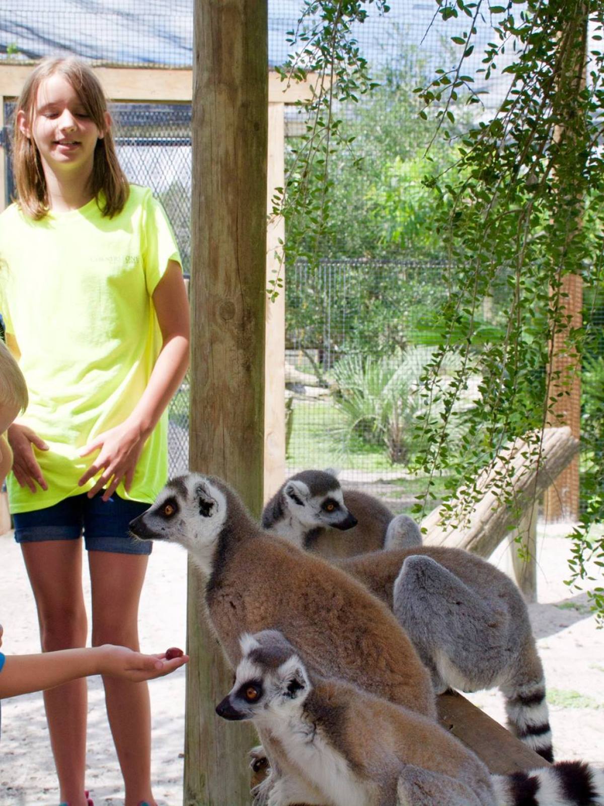 a person holding an animal