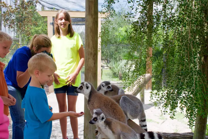 a person holding an animal