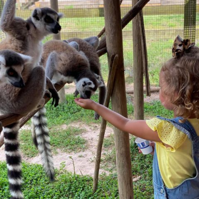 a little girl standing in front of a fence