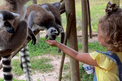 a little girl standing in front of a fence
