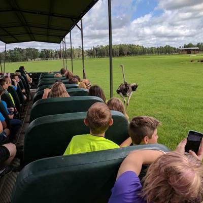 a group of people sitting in the grass