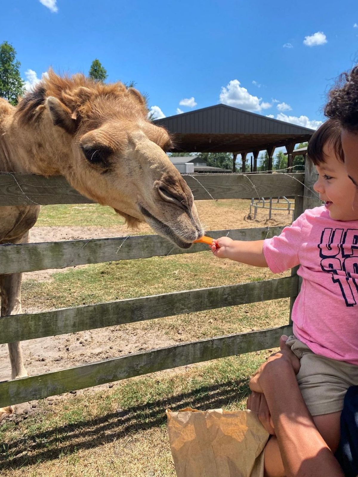 a young boy petting a giraffe at the zoo