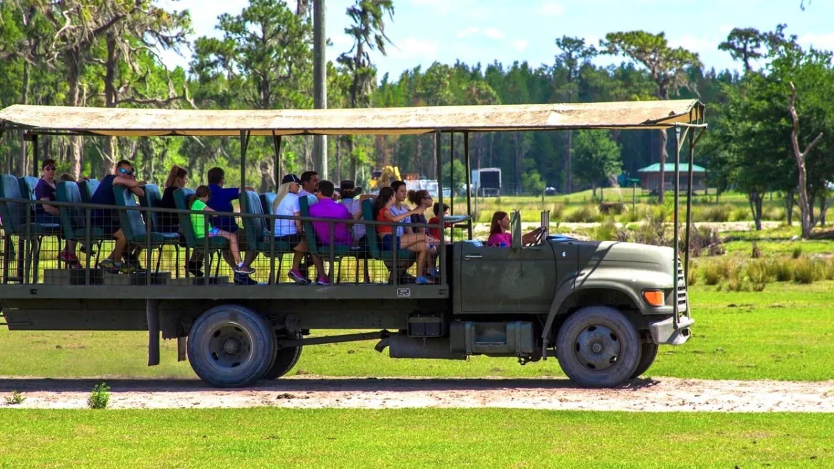 a group of people riding on the back of a truck