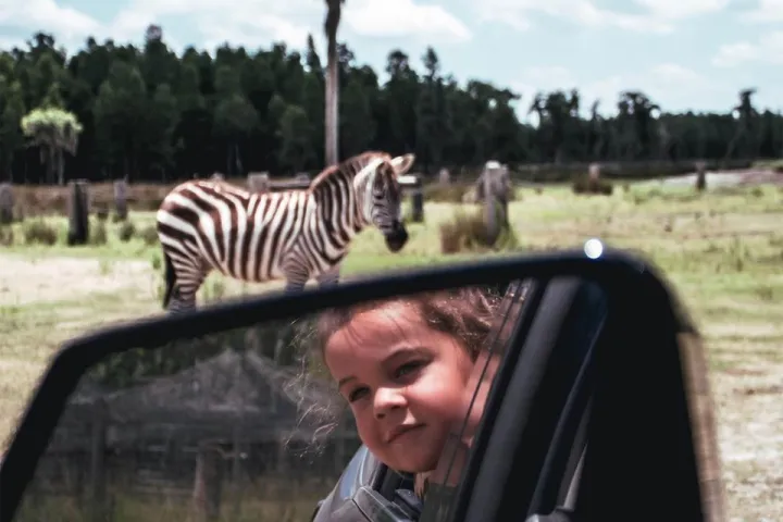 a side view mirror of a car