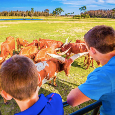 a group of people sitting in a field