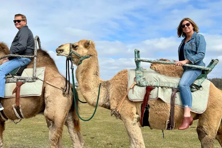 a group of people riding on the back of a horse