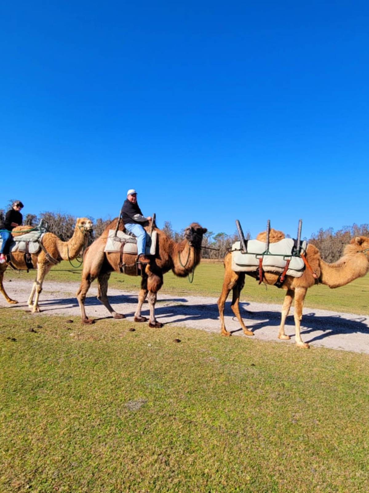 a group of people riding on the back of a horse