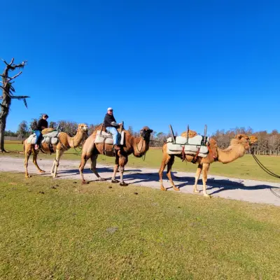 a group of people riding on the back of a horse