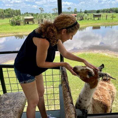 a woman petting a sheep
