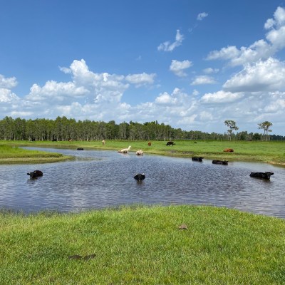 a large body of water