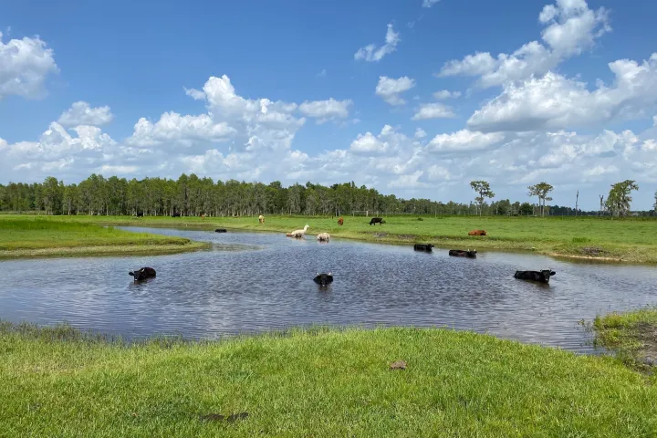 a large body of water