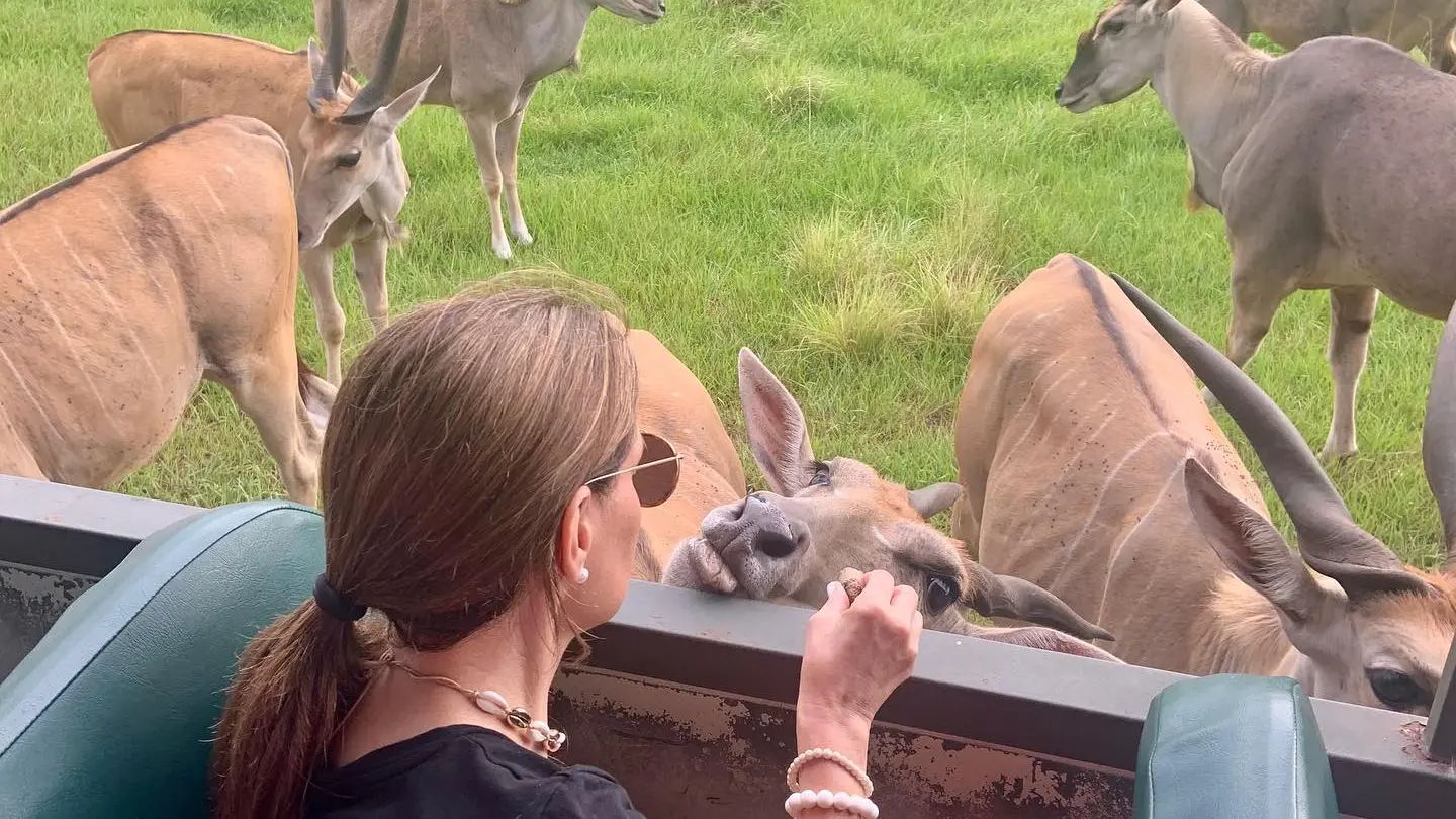 a group of people sitting at a zoo