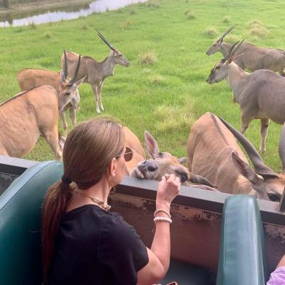 a group of people sitting at a zoo