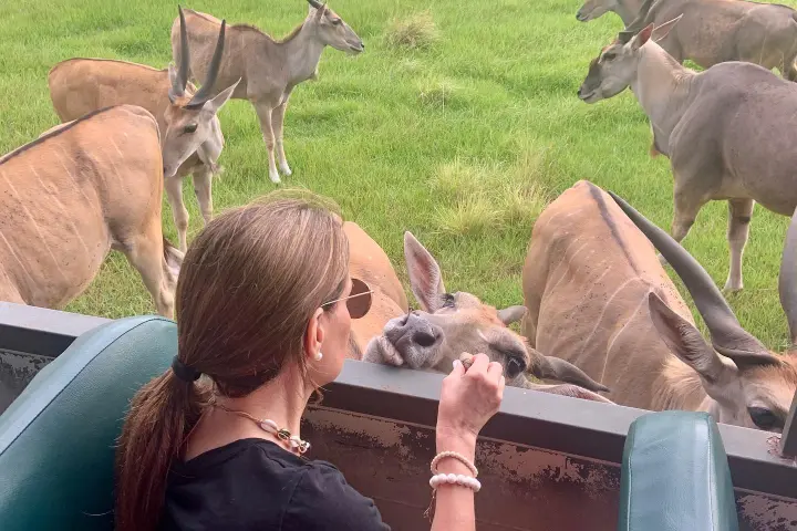 a group of people sitting at a zoo