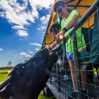 a man riding a horse through a fence