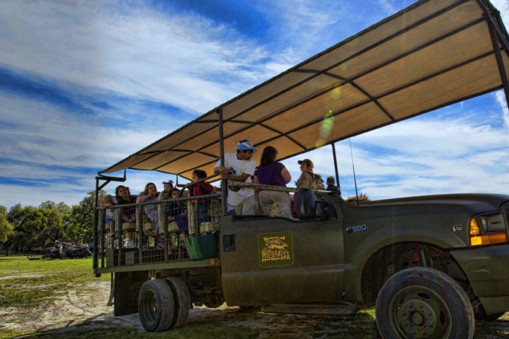 a truck is parked in the grass