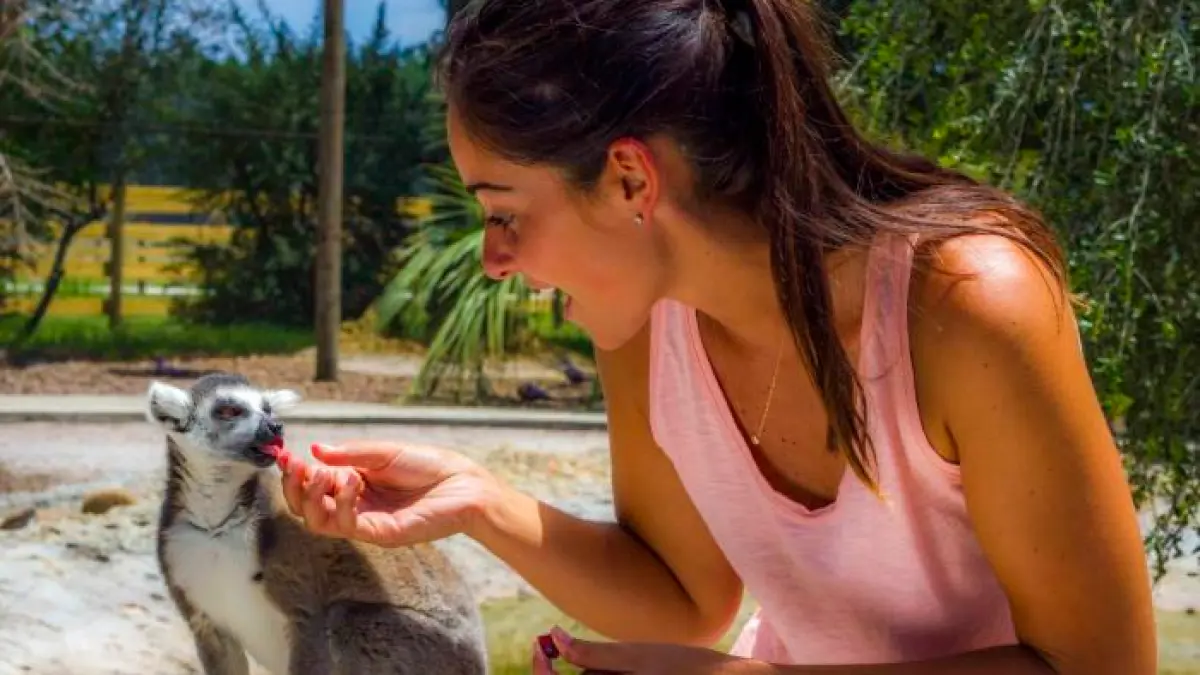 a person petting a dog