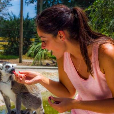 a person petting a dog